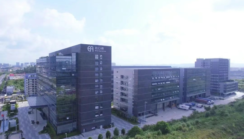 彩霸王官网物流完成战略融资，全力加码新能源汽车出海布局